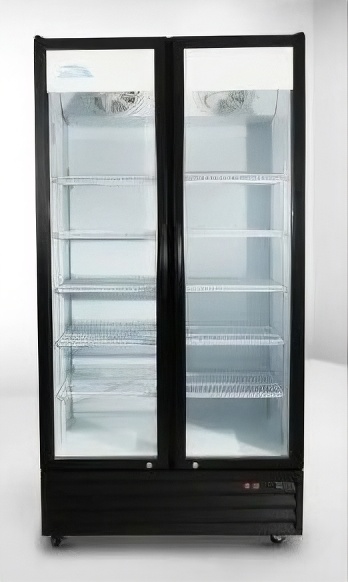 OTHER BRANDS Display Refrigerator — 2 Glass Doors